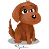 Chien, bébé chien