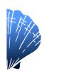 Half Pilgrim's Shell Scalltrail Blue