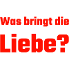 Single Liebe Love