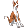 Podenco Dog Gift Idea