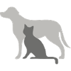 Dog and cat