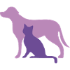 Dog and cat dog,cat,