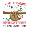 Sloth Sloth funny saying