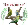 Wellensittiche