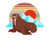 Walrus
