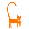 Cat in orange