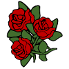 Rose - Roses -Red Roses