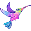 Hummingbird Bird Cute Animals