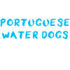 Portuguese Water Dog