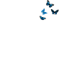 Pusteblume Papillon Femmes Cadeau