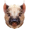 Polygon Piglet