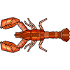 Lobster geometric