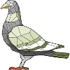 Dove Geometric Bird