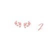 Promoted to auntie of 2