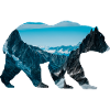 Bear Alaska
