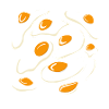 Oeufs Oeufs