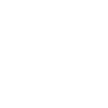 humpback whale