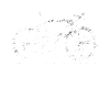 Bicycle Word Art