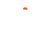 Cuckoo call - cuckoo