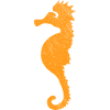 Hippocampe | Hippocampe