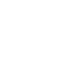 Salamandre illustrée aux écailles blanches