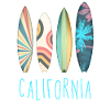 California Surfing Sunshine
