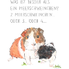 Wester Meerschweinchen