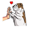 English Bulldog Love Female