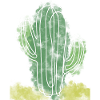 Plant Flower Nature Cactus