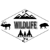 WildLife Design