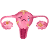 Uterus
