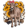 Cowhide Cow Bandana