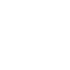 Detailer Auto Detailer Auto Detailing