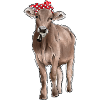 Cow Red Bandana