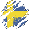 Sweden Flag Scandinavia Swedish Flag