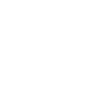 THE BOSS