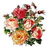 Bouquet of roses 11