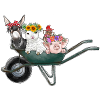 Farm Animals