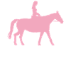 L’équitation cheval amoureux des chevaux