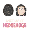 Anatomie du hérisson