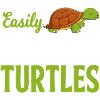 Turtle And Turtle