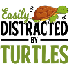 Turtle And Turtle