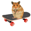 Skateboard Hamster