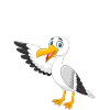 Moin Moin Möwe