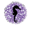 Hippocampe