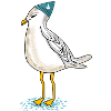 Möwe an der Küste