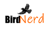 bird nerd
