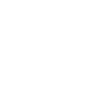 Lagotto romagnolo