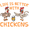 Chicken chickens