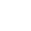 Indian Design